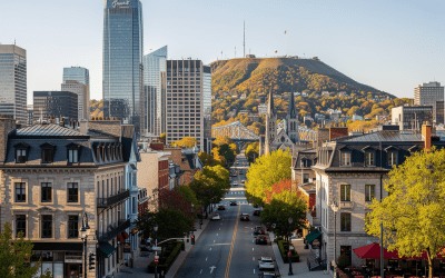 Agence SEO Montréal