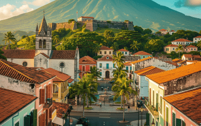 Agence SEO Basse-Terre